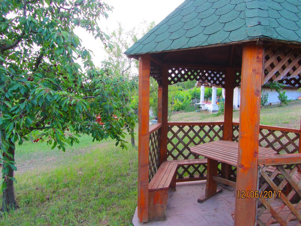 Szigligeti Panorama Apartmanhaz Dış mekan fotoğraf